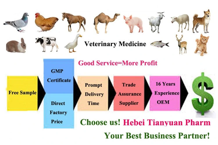 Veterinary Medicine Iron Dextran 5% Injection Factory for Animal, Pig, Sheep, Camel